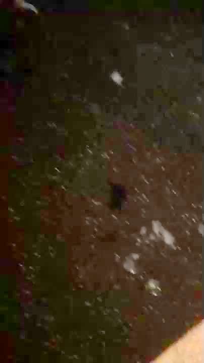 Thumb 19