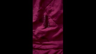 Thumb 8