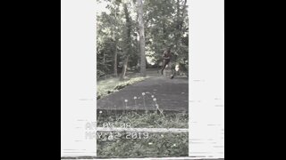 Thumb 6